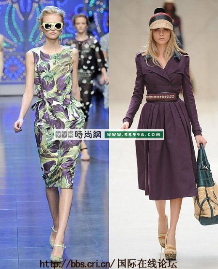 Dolce & Gabbana or Burberry?